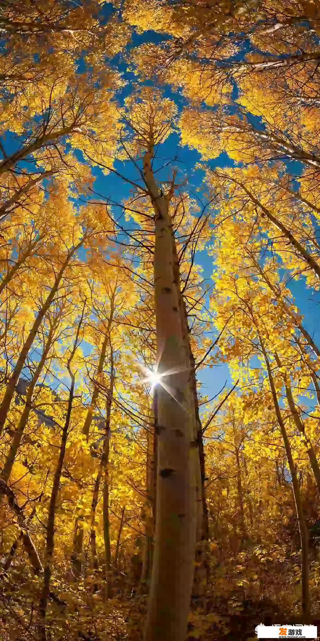 有哪些像回声迷踪这样的大型科幻剧情解谜游戏？