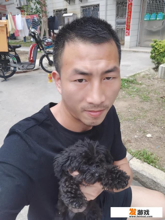 怎么训练狗狗捡球？它每次捡了球回来都不肯轻易把球给我？