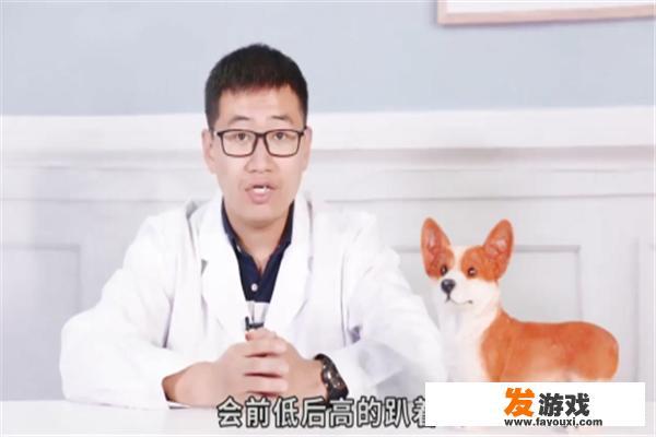 微笑狗为什么吓人？