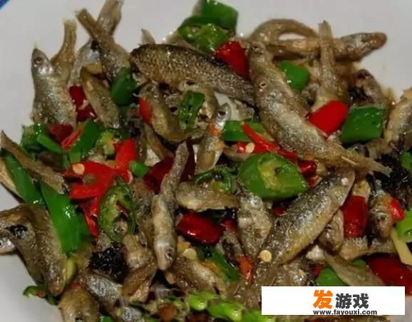 方舟生存进化白天指令？