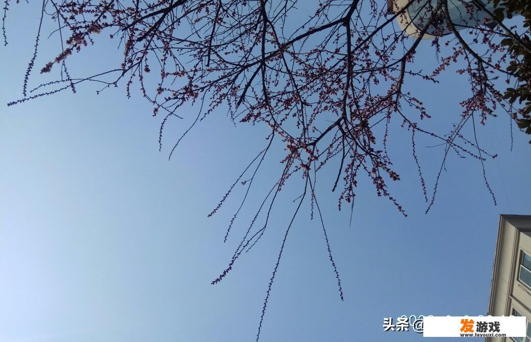 婚前爱打游戏的男孩子，结婚之后你们相处得怎么样了？