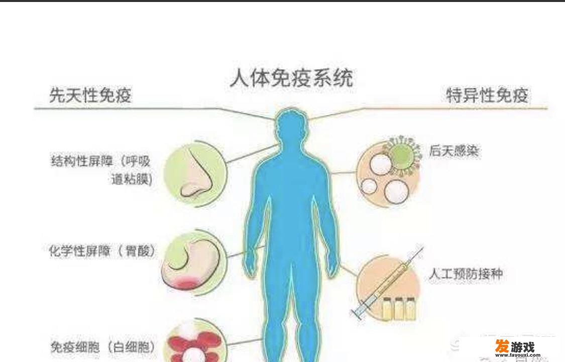 吞噬病毒的是什么细胞？
