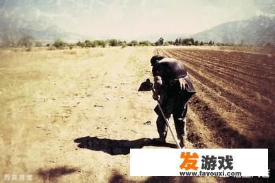 农村土地确权，老人去世后的地是不是要收回？