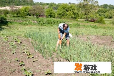 农村土地确权，老人去世后的地是不是要收回？