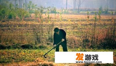农村土地确权，老人去世后的地是不是要收回？