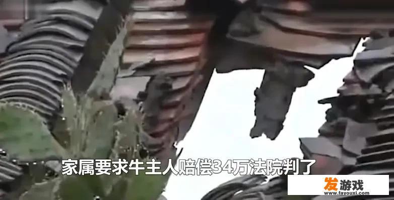 嗨皮牛夜是什么意思？