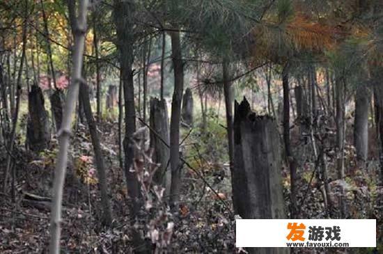 捣蛋大脚怪车子怎么不见了？