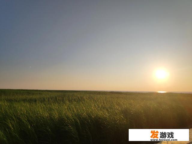 什么可以代替游戏？