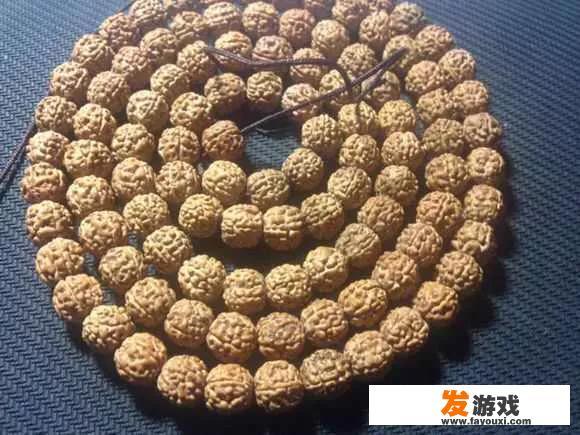 金蝉子小金刚是什么，好盘吗？