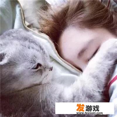 半夜起床会吵醒猫吗？