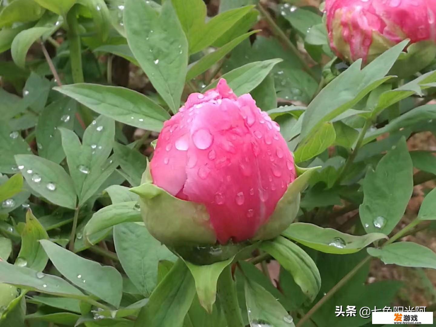 你经历过最糟糕的约会是什么样的？
