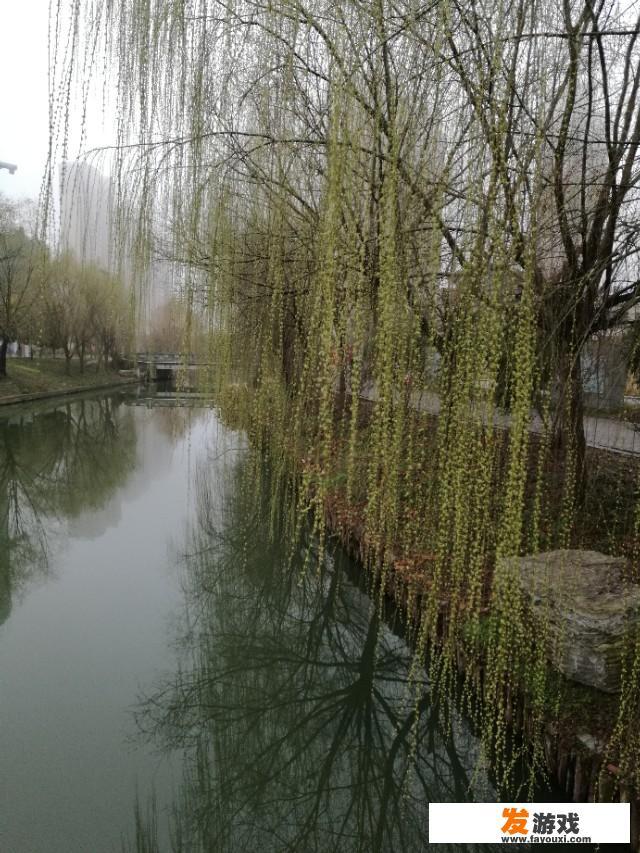 工作中三个人的活，俩人干有一个人偷懒要不要向领导反映？