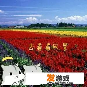 不打lol不打王者，能否成为脱单的阻碍？