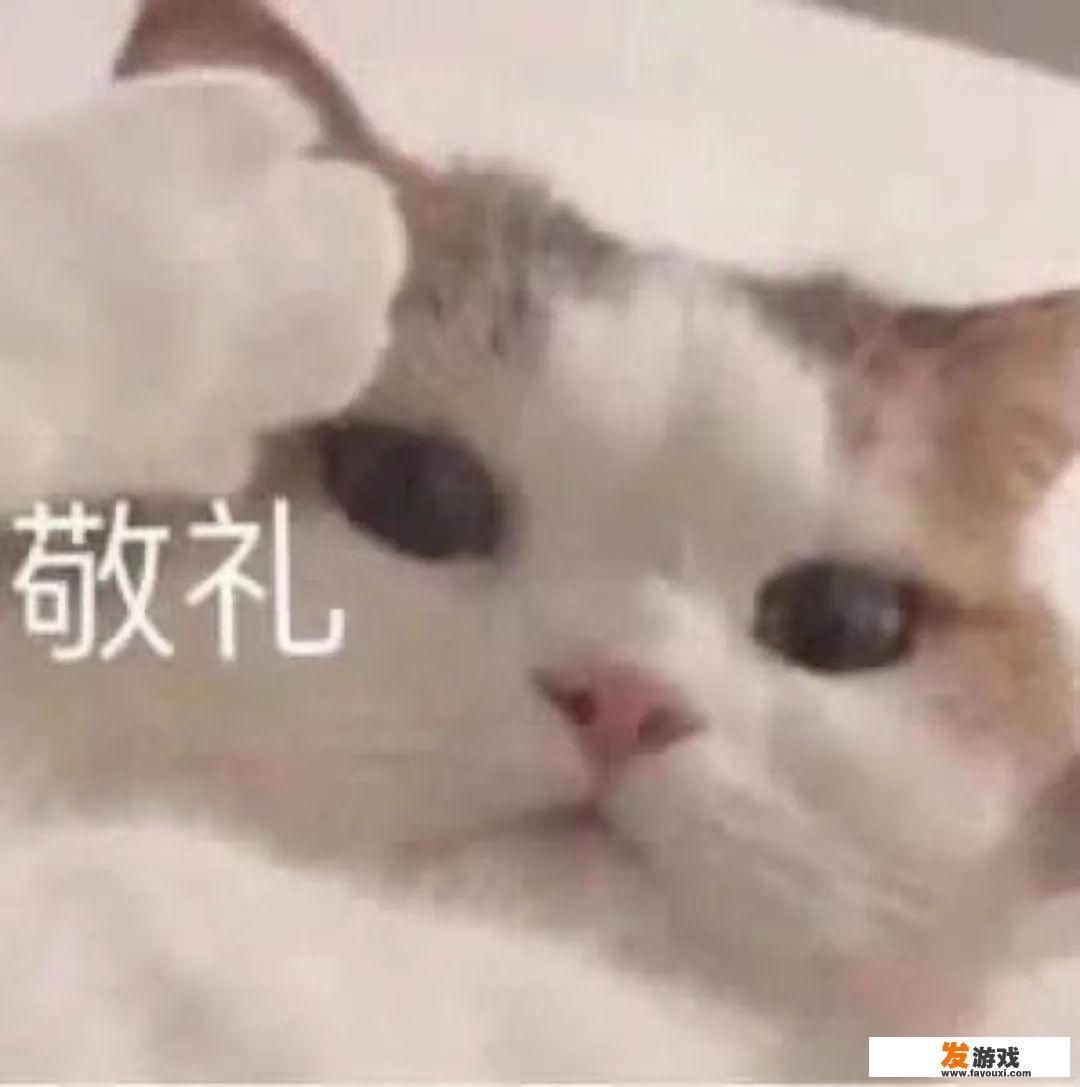 小区流浪猫扰民怎么办？