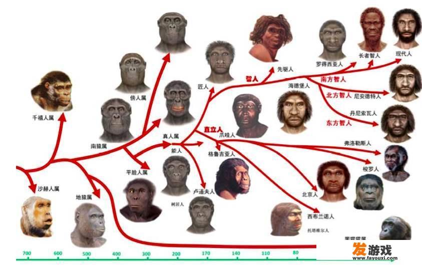 为什么我们人类就没有翅膀呢？