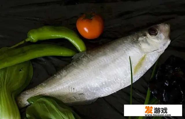 鲈鱼三岁宝宝能经常吃吗？怎么样？