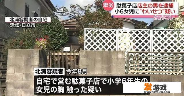 【福利大绅士向】傲娇狗与三无猫是什么动漫？
