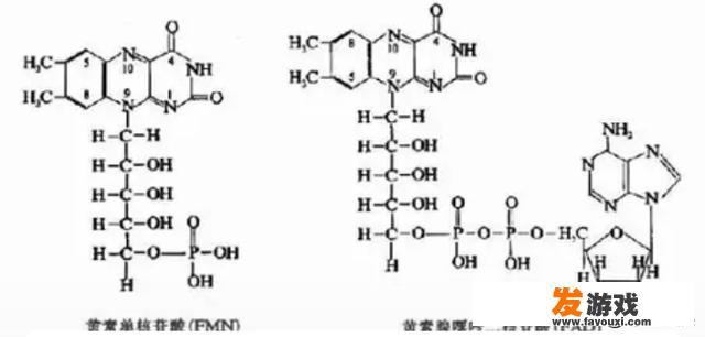 异咯嗪环结构式？