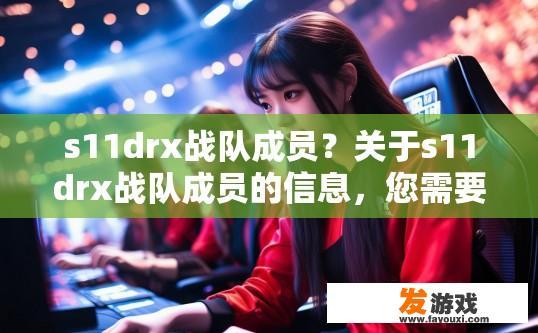 s11drx战队成员？关于s11drx战队成员的信息，您需要什么类型的答案？XiaoMei在S11DRX中的具体角色和表现如何？