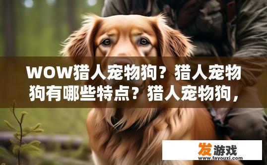WOW猎人宠物狗？猎人宠物狗有哪些特点？猎人宠物狗，特征、饲养与训练方法探讨