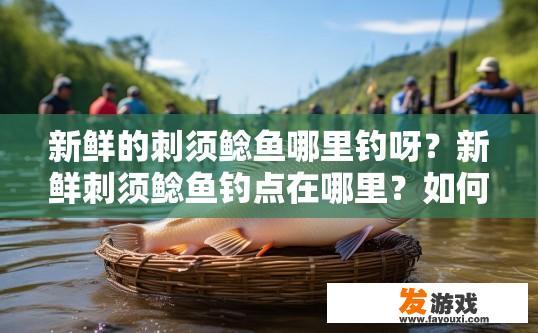 新鲜的刺须鲶鱼哪里钓呀？新鲜刺须鲶鱼钓点在哪里？如何钓到新鲜刺须鲶鱼？最佳钓点介绍