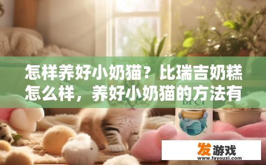 怎样养好小奶猫？比瑞吉奶糕怎么样，养好小奶猫的方法有哪些？比瑞吉奶糕效果如何？如何打造温馨、健康的幼猫新家？比瑞吉奶糕配方解读与养护技巧分享