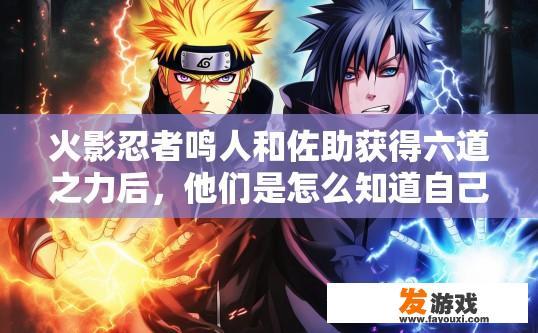 火影忍者鸣人和佐助获得六道之力后，他们是怎么知道自己有新技能可以加点并且使用的技巧？火影忍者鸣佐新技能获取与使用技巧介绍，鸣佐佐助六道觉醒后，如何确定、学习并熟练运用新技能及其解锁技巧？