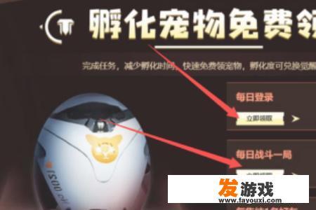 女机械加点？