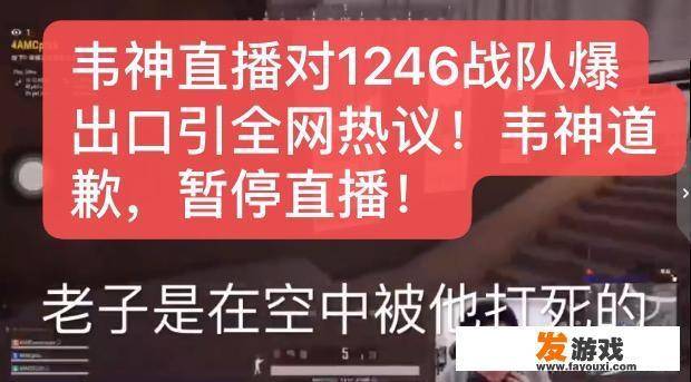 绝地求生韦神直播骂1246后道歉暂停直播，粉丝认为韦神停播是好事，对此你怎么看？