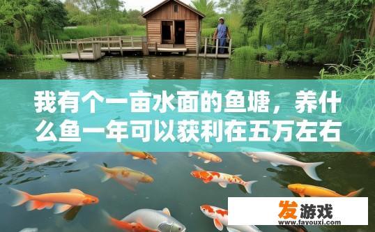 我有个一亩水面的鱼塘，养什么鱼一年可以获利在五万左右？养什么鱼一年可以获利在五万，需要注意哪些方面？