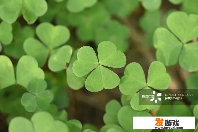假面骑士555幸运四叶草有谁？