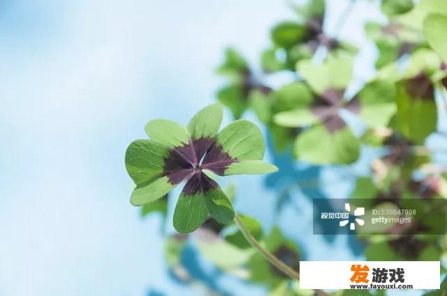 假面骑士555幸运四叶草有谁？