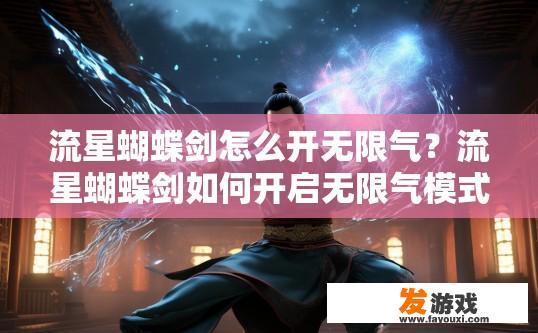 流星蝴蝶剑怎么开无限气？流星蝴蝶剑如何开启无限气模式？