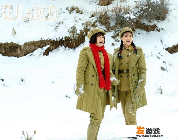《花儿与远方》电视剧什么时候上映？剧情主要讲什么？