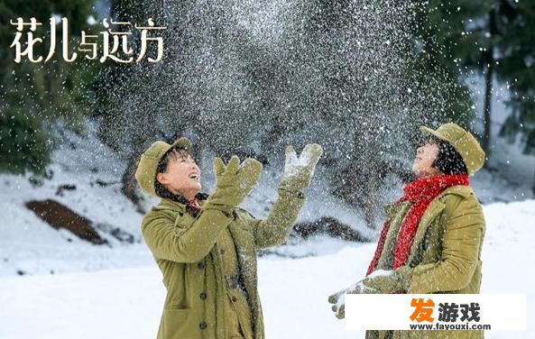 《花儿与远方》电视剧什么时候上映？剧情主要讲什么？