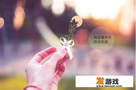 度蜜月遇飞车党被抢包，没抢走，但老公在旁边一直都是愣的，你觉得这样的男人如何？