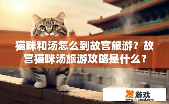 猫咪和汤怎么到故宫旅游？故宫猫咪汤旅游攻略是什么？