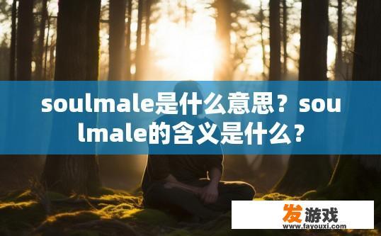 soulmale是什么意思？soulmale的含义是什么？