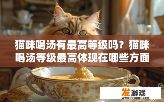 猫咪喝汤有最高等级吗？猫咪喝汤等级最高体现在哪些方面？