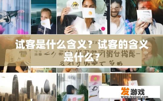 试客是什么含义？试客的含义是什么？