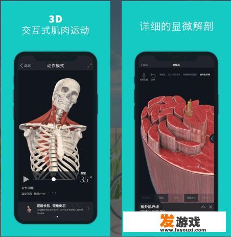 怎么进入苹果手机的app？