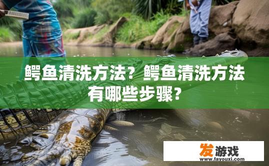 鳄鱼清洗方法？鳄鱼清洗方法有哪些步骤？