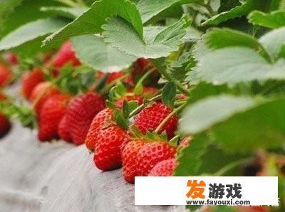 下架的软件怎么找回来？
