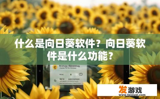 什么是向日葵软件？向日葵软件是什么功能？