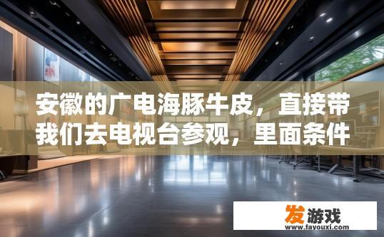 安徽的广电海豚牛皮，直接带我们去电视台参观，里面条件不错啊？安徽广电海豚牛皮项目参观条件如何？