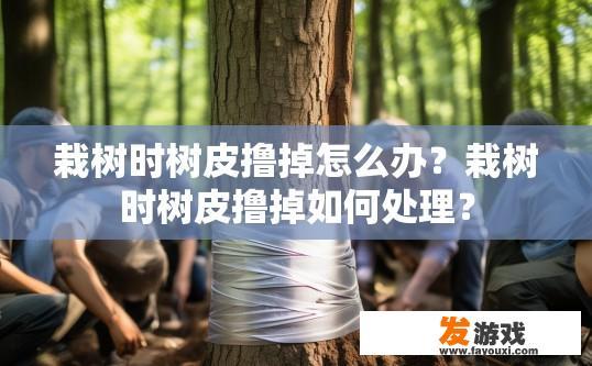 栽树时树皮撸掉怎么办？栽树时树皮撸掉如何处理？