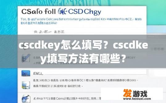 cscdkey怎么填写？cscdkey填写方法有哪些？