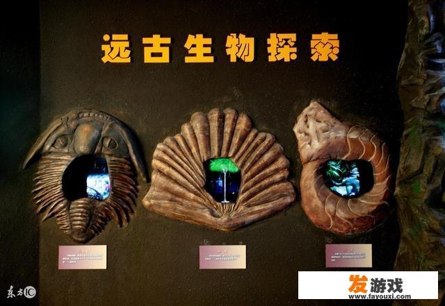 远古生物会如此强壮，它们会患上肿瘤吗？