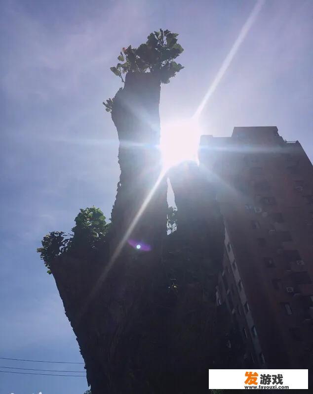 暗黑2纯冰SOR用橡树之心好还是思考之声？