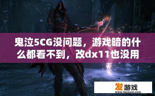 鬼泣5CG没问题，游戏暗的什么都看不到，改dx11也没用？鬼泣5CG没问题，但游戏暗的看不到特效是否与DX11设置有关？